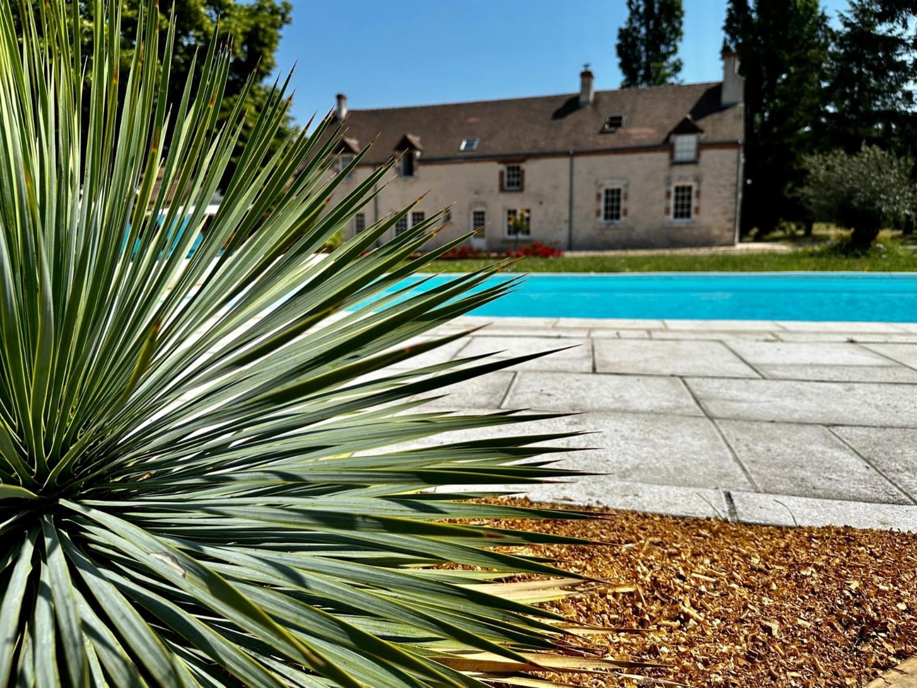 Отель Domaine De Couilleuse Saint-Laurent-Nouan Экстерьер фото