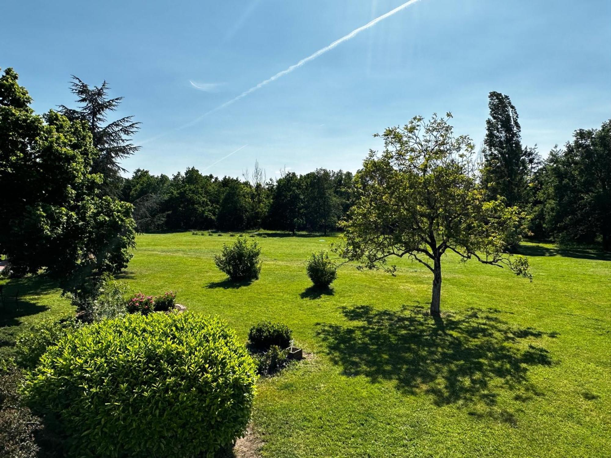 Отель Domaine De Couilleuse Saint-Laurent-Nouan Экстерьер фото